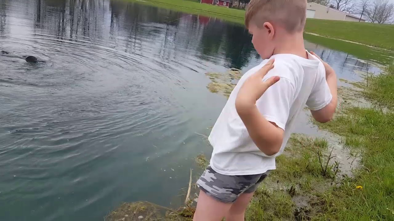 60 lb Carp. Biggest so far.