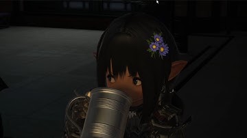 FFXIV Patch 5.2 story reaction feat Kerin