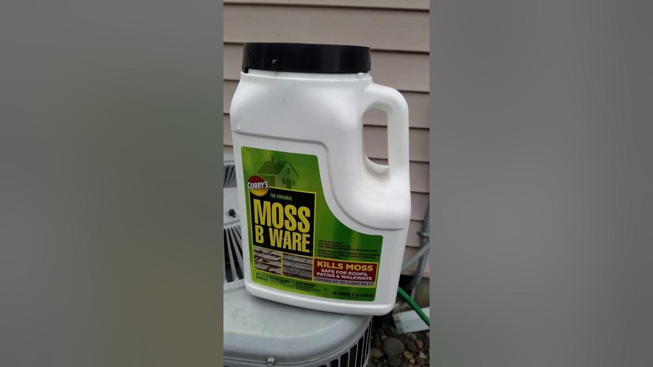 Moss B Ware part 1 YouTube