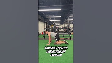 Quadruped isolated lumbar flexion/extension