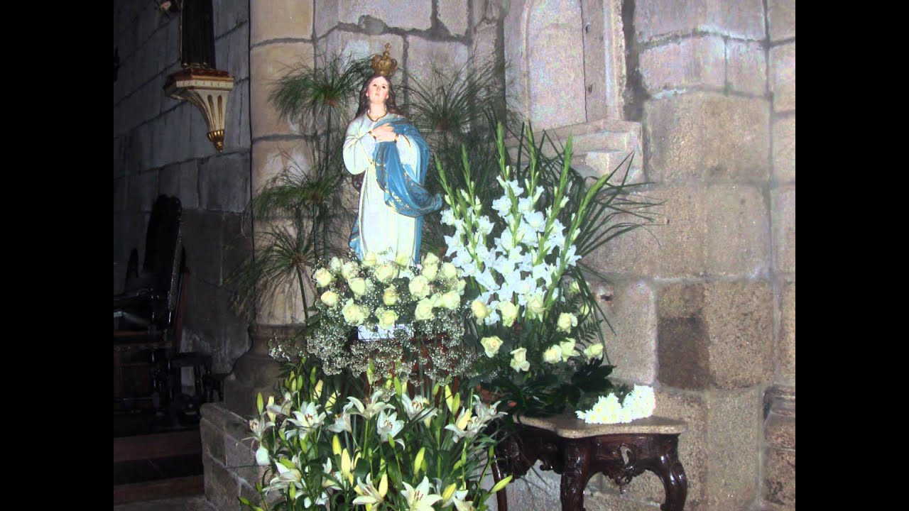 Alleluia 11 - Taizé