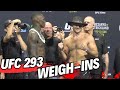 UFC 293 Ceremonial Weigh-Ins: Israel Adesanya vs Sean Strickland