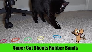 Super Cat Shoots Rubber Bands by Serena the kAt 176 views 1 month ago 8 minutes, 8 seconds