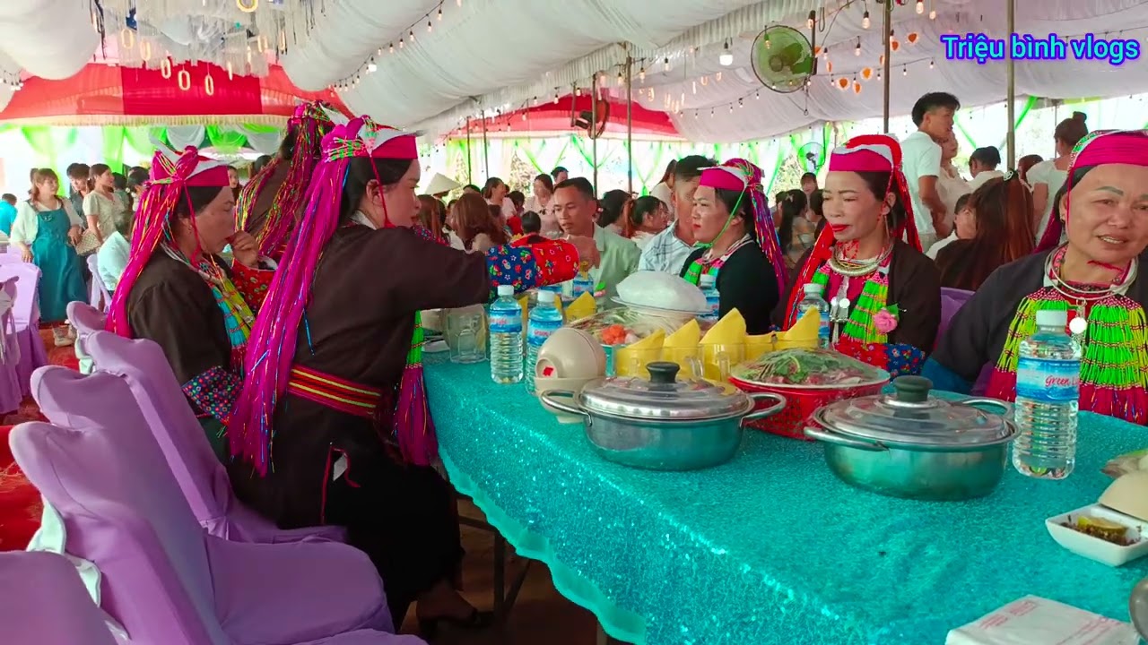 Tân hôn xuân thanh & ngọc hân, triệu bình vlogs