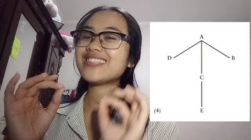 Speech Communities: Networks & Repertoires