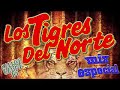 Los Tigres Del Norte Mix 2020  Pa Pistear - Un Mix Para Esos Charitas