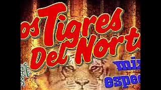 Los Tigres Del Norte Mix 2020  Pa Pistear - Un Mix Para Esos Charitas