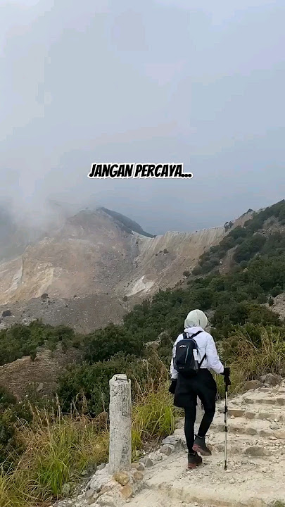 Tangga menuju hutan mati, tektok papandayan #gunungpapandayan #tektok #pendakigunung #pendakicantik
