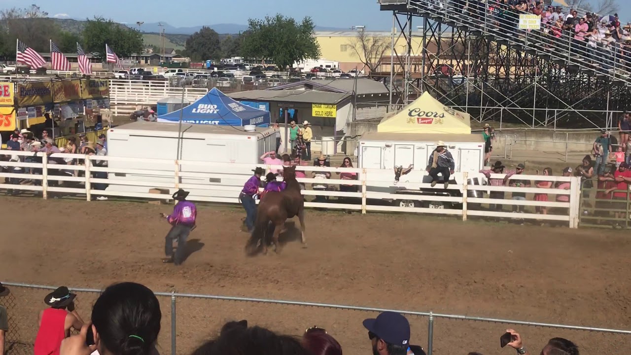 Red bluff 2018 Wild horse race finals YouTube