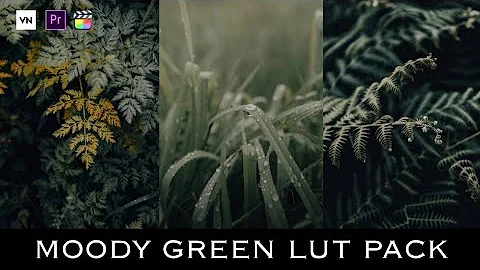 Moody Green Lut Pack | Free Luts Pack | Color grading with luts on mobile (VN Video Editor)
