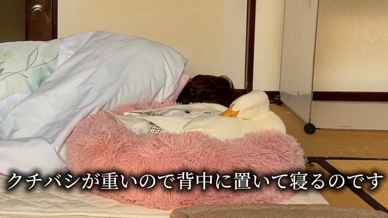 NEW*・゜゜・*:.。..。.:アヒルのお面 ネオブライス