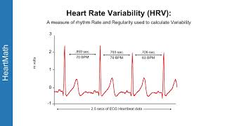 The Power of Heart Rate Variability (HRV) for Stress Management and Performance