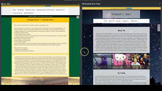 eWolf: ePortfolio Organizer