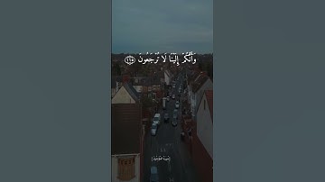 افحسبتم انما خلقناكم عبثا || القارئ علي عبدالسلام || تلاوة خاشعة جدآ 🥺❤️|