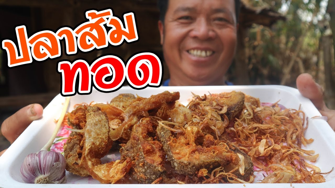 ทำอาหารในป่า ปลาส้มทอด ส้มปลาจีน สูตรครัวป่าไผ่ พ่อนะยืนยัน! l SAN CE -  YouTube