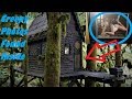 Convicted Felon Daniel Wood's Abandoned Gingerbread Hideout Cabin