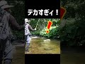 ウホッ、強烈!北のデカニジ!! shorts