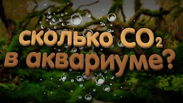 🧪 Концентрация со2 в аквариуме. Сколько подавать СО2?