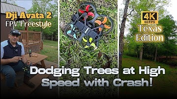 Dodging Trees at High Speed with Crash! DJI Avata 2 FPV Freestyle (Texas Edition) 4K