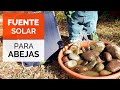 BEBEDERO PARA ABEJAS Casero 🐝 Cómo hacer una Fuente de Agua Solar paso a paso #quedateencasa