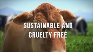 Noire - The Next Generation Travel Wallet