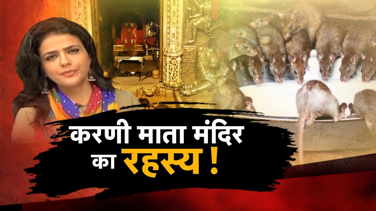 Karni Mata के मंदिर में हजारों चूहों की मौजूदगी का रहस्य !