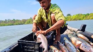 শতর আগই বড বড চরগদ বডশত Sundarban Fishing Fishing Video
