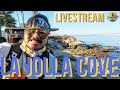 LA JOLLA COVE LIVE STREAM - San Diego, California Walking Tour