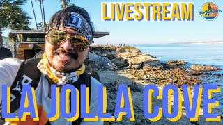 LA JOLLA COVE LIVE STREAM - San Diego, California Walking Tour