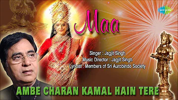 Ambe Charan Kamal Hain Tere | Hindi Devotional Song | Jagjit Singh | Mata Bhajan 2022