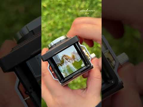 【復古相機開箱】手動搖桿的浪漫！這台相機的咔嚓聲太療癒了～ #相機開箱 #小文青wandererhongkong