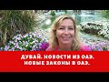 Дубай. Болталка. Новые законы в ОАЭ. Новости из ОАЭ. Прямой эфир.