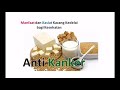 Anti Terserang Kanker Anti Terserang Kanker