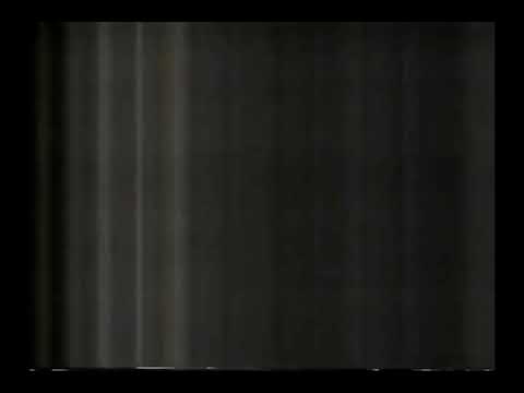 [Top de 8 Segundos – 1987] Globo antigonis