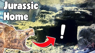 Creating A Jurassic Park Habitat For Alligator Snapping Turtle