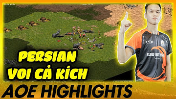 1 ĐÀN VOI QUANH NHÀ PERSIAN của Chim Sẻ Đi Nắng!!! | AoE Highlights
