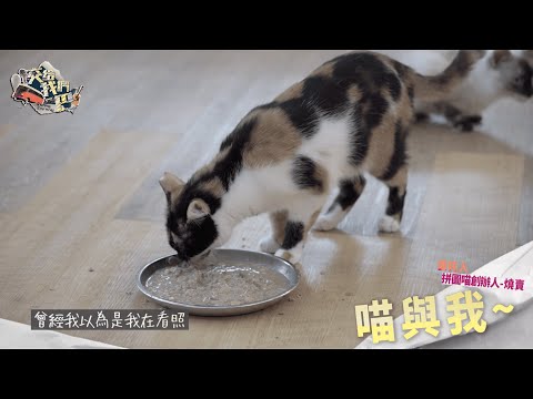 【交給我們巴】浪浪故事太催淚 小球再度淚灑現場!!
