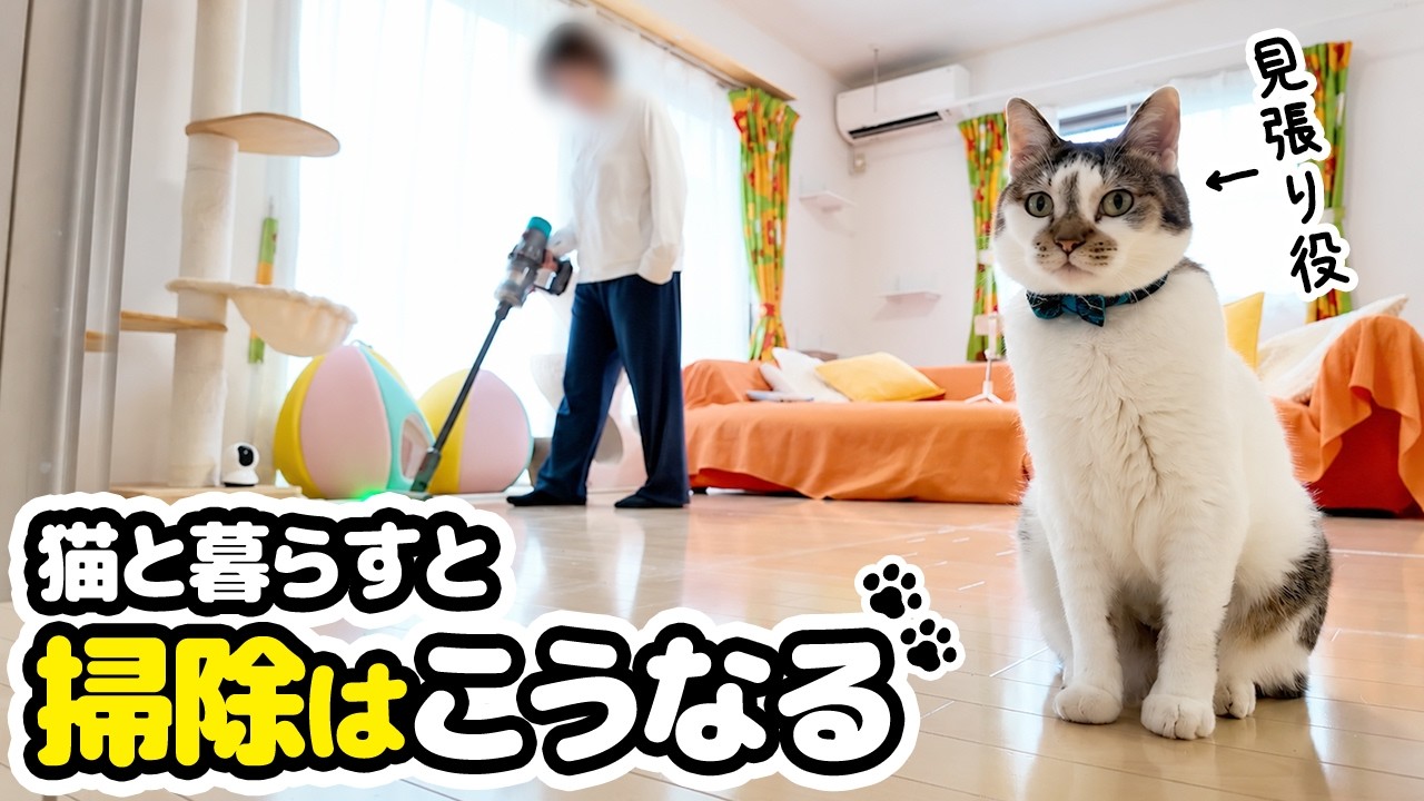 Our Monthly Deep Cleaning Routine for Our Home with Two Cats - YouTube