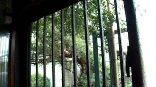 DSCF2478.AVI
