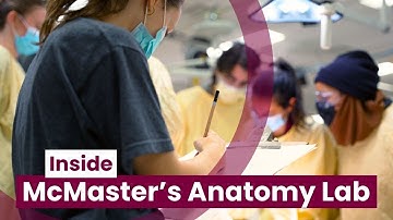 Inside McMaster University’s anatomy lab: Where art meets health sciences