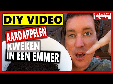 Video: Vis En Aardappelen In Een Pot