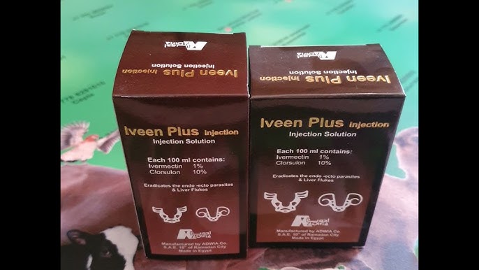 Эротикалық жеке фотоальбомдар Анальды секс қорқынышы