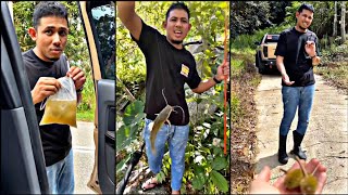 Nabil Ahmad ||  Ke Kebun.. Kutip Hasil Durian & Ikan