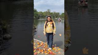 🍁🍁 #youtubeshorts #doongirlmeera #shortfeed #viralvideo #shorts #trendingsong #leaf #ytshorts #yt