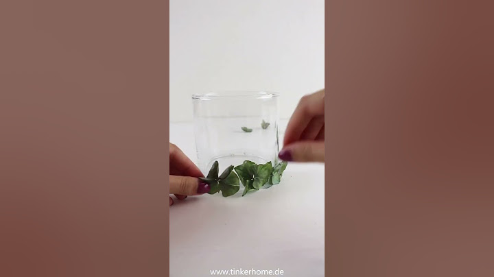 DIY Hortensien Windlicht - Herbst Dekoration