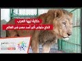 دوت مصر | حكاية ليها العجب.. الحاج متولى أكبر أسد معمر فى العالم