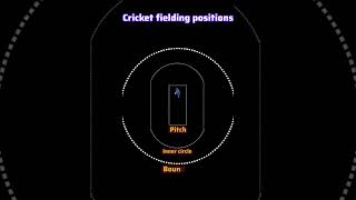 Fielding positions in cricket⚠️🏏