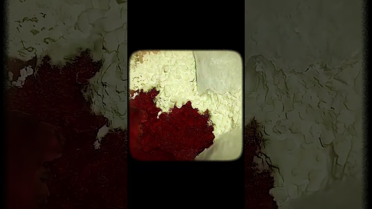 Ubisoft is the God of Transitions | 