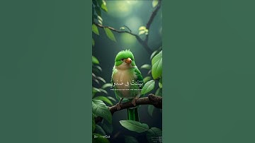 وما كنت تتلوا من قبله من كتاب ولا تخطه بيمينك إذا لارتاب المبطلون || القارئ عبدالرحمن مسعد