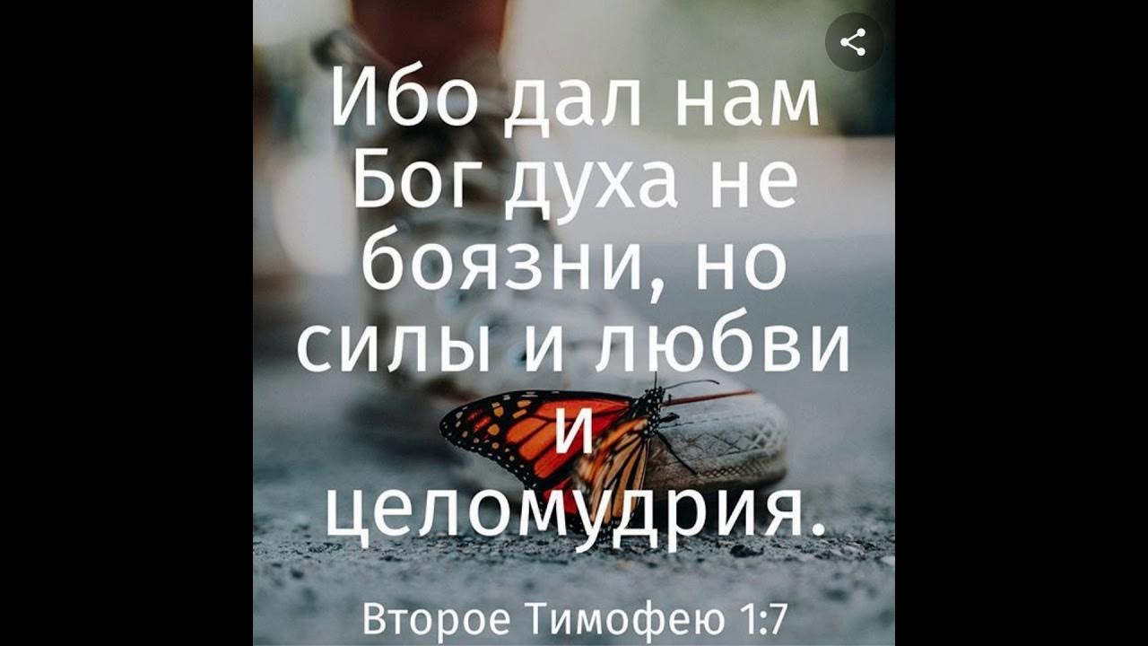 Бог дух любви. Ибо дал нам Бог духа не боязни. Ибо дал нам Бог духа не боязни но силы и любви и целомудрия. Не дал нам Бог духа не боязни но силы и любви. Христианские цитаты.